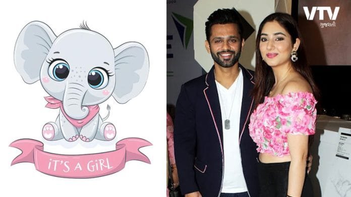 Rahul Vaidya Disha Parmar Baby Girl