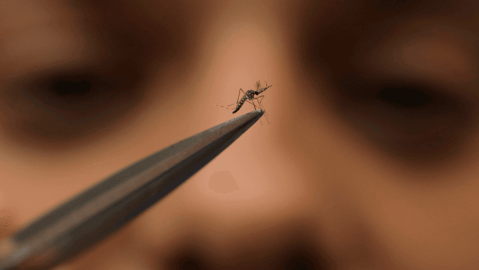 Dengue Cases on the rise in Delhi. Image Credits: The New York Times