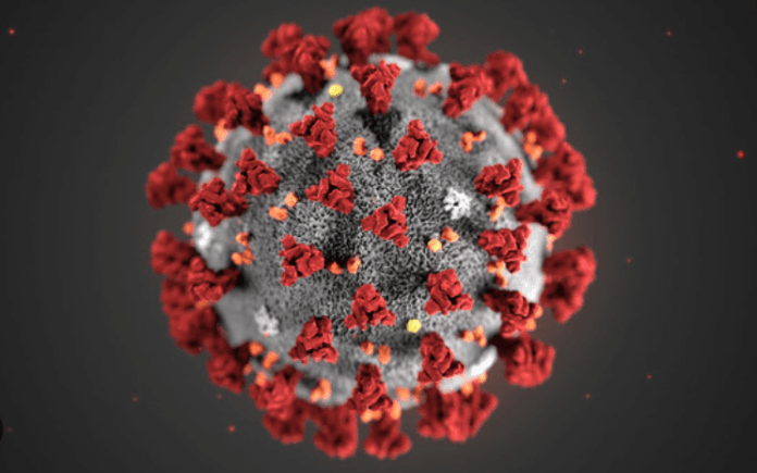 India Logs 760 New COVID Cases, Active Infections At 4,423