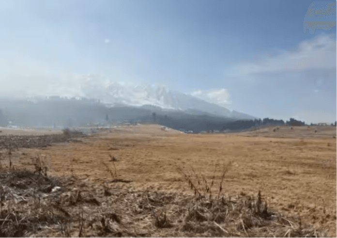 No Snow In Paradise: Gulmarg’s Tourism Hit As Kashmir Sees Warmest Winter In Decade