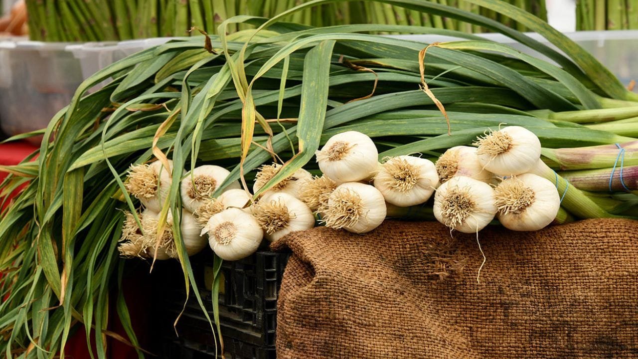 Delhi Pollution Foods Delhi Pollution