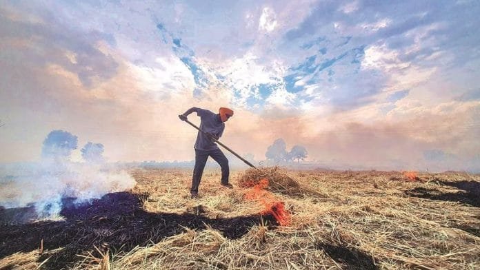 Delhi Pollution